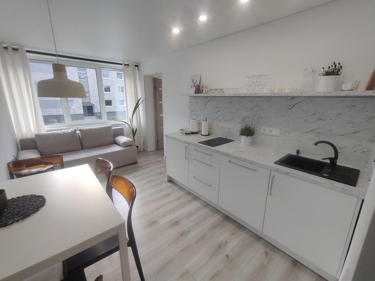Sviesos Apartamentai Apartment Anyksciai